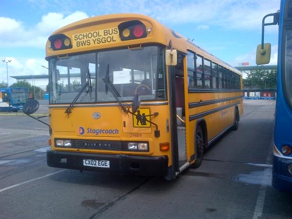 2001 Bluebird American School bus right hand drive 2001 Bluebird American School bus right hand drive