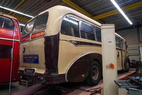 1950 GUY ARAB 30 SEAT COACH IN HOLLAND